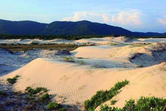 Dunas de areia e vegetação de restinga em Ilha Comprida